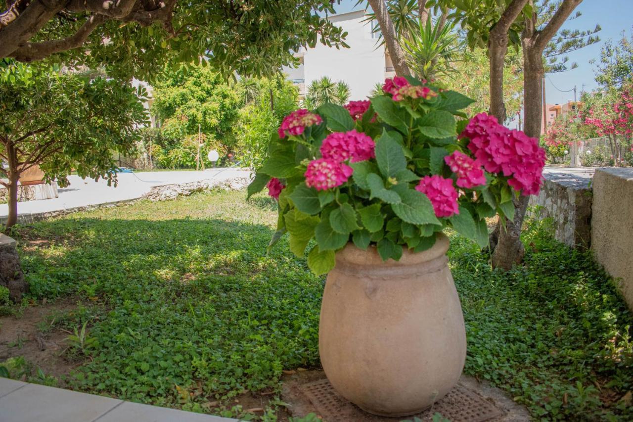 Agia Marina Evdokia Αpartments & Dimitra Village מראה חיצוני תמונה
